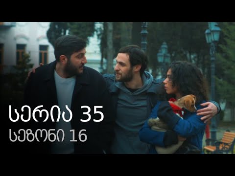 ჩემი ცოლის დაქალები - სერია 35 (სეზონი 16)